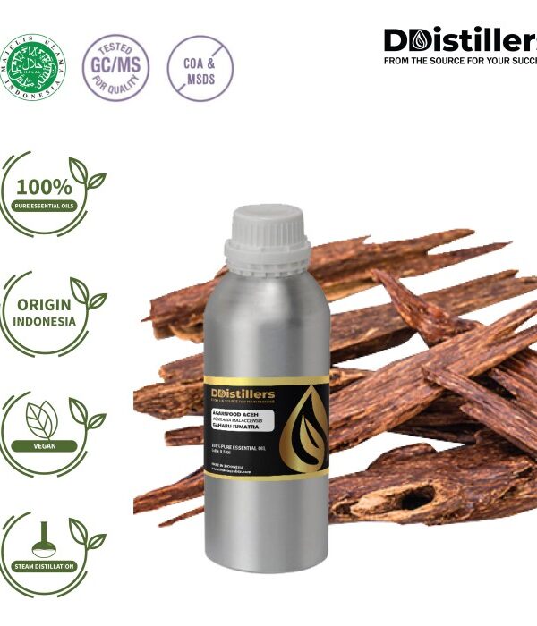 Agarwood Aceh / Gaharu Essential Oil Pure 100%, 0.5KG SS